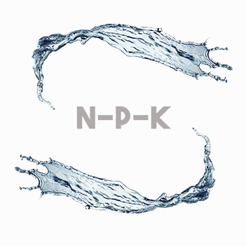 N.P.K Liquido SNH3