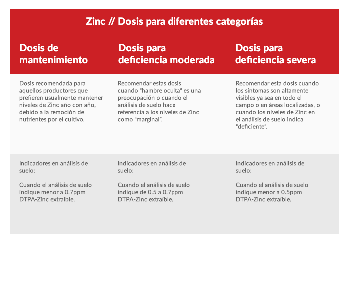 Propiedades zinc