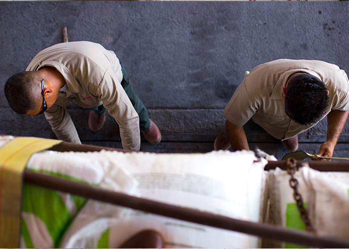 trabajadores de mezclas